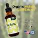 Mullein Leaf Liquid Extract 4 Fl Oz - Lung Cleanse and Detox Tincture for Respiratory Health - Immune Support Drops - Natural Supplement - Buy Online on GoSupps.com