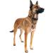 Educator Dog Training Collar Receiver Comfort Pad | Reduces Irritation | Long Hair Winged Design - Buy Online on GoSupps.com