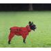 Geyecete Rain Coat for Dogs - Waterproof Reflective 4-Leg Jacket for Large Medium & Small Breeds - Red XXL/3XL - Buy Online on GoSupps.com
