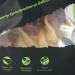 Buy Snackomio Premium Dog Snack - Crispy Rabbit Ears with Duck Breast Fillet | Grain-Free Treats (70g - 1 Pack) - Perfect for International Shipping - Buy Online on GoSupps.com