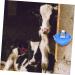Yardenfun Stainless Sink Farm Feeding Water Bowl Livestock Drinking Bowl Drinking Fountain Tool Large - Buy Online on GoSupps.com