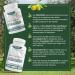 East Park Olive Leaf Extract 500mg Super Strength d-Lenolate | Immune System Booster with 18% Oleuropein | 180 Vegetarian Capsules (Non-GMO) - Buy Online on GoSupps.com