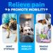 Glucosamine for Dogs - Advanced Hip and Joint Supplement for Dogs - Glucosamine Chondroitin for Dogs - Dog Joint Pain Relief - MSM - Support Dog Joint Supplement Health - 120 Chews 120 Chews Brown - Buy Online on GoSupps.com