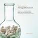 Life Seasons Choles-T: Natural Cholesterol Support Supplement with Red Yeast Rice - 90 Capsules - Buy Online on GoSupps.com
