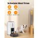WOPET FT30 Automatic Cat Feeder with Portion Control | 1-6 Meals Per Day | Voice Recorder | White/Grey - Buy Online on GoSupps.com