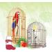 MEISH 3pcs Automatic Bird Feeders Bird Water Dispenser Automatic Bird Water Bottle Food Feeder for Parrots Budgie - Buy Online on GoSupps.com