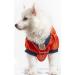 NFL Denver Broncos Dog Jersey - XX-Large - Officially Licensed Football Costume for Pets - Buy Online on GoSupps.com