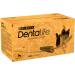 DENTALIFE Medium Dog Treat Dental Chew 42 Stick Pack of 2 Chicken 1.93 kg (Pack of 1) - Buy Online on GoSupps.com