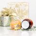 WOW Skin Science Almond Shea Body Butter - Natural Shea Butter Moisturizer for Dry Skin, Stretch Marks & Hand Lotion - 200ml Floral Scent - Buy Online on GoSupps.com
