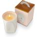 ILLUME Petite Patisserie Angel Food Candle - Elegant Boxed Ceramic Candle for a Cozy Atmosphere | Shop Internationally - Buy Online on GoSupps.com