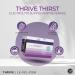 Le-Vel Thrive Thirst Electrolyte Powder with Amino Acids Premium Hydration with Pink Himalayan Salt Coconut Potassium & More 30 Pack (30 Packet No Caffeine Grape) Grape 0.15 Ounce (Pack of 30) - Buy Online on GoSupps.com