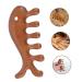 Frcolor Fish Shape Massage Comb for Men | Portable Jade Wooden Scalp Massager & Gua Sha Tool | No Static Hair Comb - Buy Online on GoSupps.com