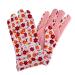 Accentra Hand Care Set - Essential Botanics in Flowerpot | Hand Cream Nail Cream & Gardening Gloves (Rose Scent) - Buy Online on GoSupps.com
