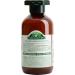  Antica Erboristeria Antica Erboristeria Nettle Shampoo for Oily Hair - 250 ml - Buy Online on GoSupps.com