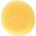 Creative Hobbies 10 Pack of 3-1/2 Inch Round Synthetic Silk Sponges for Painting Crafts and More - Buy Online on GoSupps.com