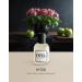 EYFEL Perfume for Men M120 INSPIRED BY EROS 2 Eau de Parfum Spray Men s Cologne EDP 50 ml / 1.76 FL. OZ. - Buy Online on GoSupps.com