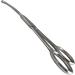 Sandbros Bull Nose Scissors 4.5 Probe Curved - 114.3mm Length - Buy Online on GoSupps.com