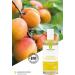 Greenendoor Natural Cosmetics Massage Oil 100ml - Apricot Mango Fruity Fragrance Silicone & Mineral Oil Free Perfect for Romantic Sensual Massages - Buy Online on GoSupps.com