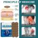 Tinnitus Relief Patches - Natural Herbal Treatment for Ear Ringing, Pain & Hearing Loss - 12Pcs (1 Box) - Buy Online on GoSupps.com