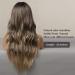 HAIRCUBE Ombre Brown Curly Wig for Women - Long Natural Synthetic Hair with Blonde Highlights - Buy Online on GoSupps.com