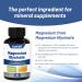 EAZGOO Magnesium Glycinate Supplement - 90 Capsules of Essential Mineral Supplement - Buy Online on GoSupps.com