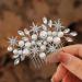 Handcess Bridal Pearls Hair Comb Splitter Rhinestone Star Hair Pieces Crystal Bridal Side Combs Wedding Hair Accessories for Women and Girls