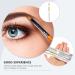 Beaupretty 5pcs Water Proof Concealer Pen Concealer Pencil for Face Eye Shadow Highlighter Eyes Miss Makeup Abs - Buy Online on GoSupps.com