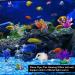 Buy Eqlef Artificial Aquarium Plants - 7 Piece Bright Coral & Aquatic Decorations for Stunning Aquariums - Buy Online on GoSupps.com