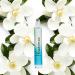 A Girl's Gotta Spa! Persevere - Southern Magnolia Roll-On Perfume Oil for Women 10ml Vegan and Leaping Bunny Certified - Buy Online on GoSupps.com