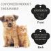 Personalized Engraved Dog Tags | Custom Stainless Steel Pet ID Badges for Dogs & Cats - Various Shapes & Styles - Buy Online on GoSupps.com