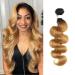 X-TRESS Ombre Honey Blonde Body Wave Human Hair Bundles Brazilian T1B/27 Virgin Human Hair 1 Bundles Human Hair Extensions(18 Inch,T1B/27) 18 Inch (Pack of 1) T1B/27