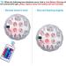 2 Pack Submersible LED Lights Waterproof Pool Lights Underwater with 16 Colors Remote Control Lights for Aquarium Vase Bath Hot Tub Halloween Christmas Swimming Pool and Party Decoration Multi-colored 2pack - Buy Online on GoSupps.com