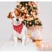 Shop Lionheart Glory Soft Cotton Christmas Dog Neckerchief - Adjustable Pink Santa Claus Scarf for Small Dogs | 1 Pack - Buy Online on GoSupps.com