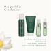 Shop Rituals Gift Set for Women - The Ritual of Jing Size S | Relax with Sacred Lotos Jujube & Chinese Mint - Buy Online on GoSupps.com