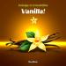 Vanilla Protein Flavor Powder with Daily Multi-Vitamin - 20 Servings | Enhance & Customize Your Protein Shake - Buy Online on GoSupps.com