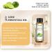 EUQEE Lime Essential Oil 10ml Pure Natural Lime Oils Aromatherapy Essential Oils for Diffusers for Home Relax Humidifiers Lime 10.00 ml (Pack of 1) - Buy Online on GoSupps.com