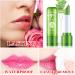 WYBLZPXZ 3 Pack Aloe Vera Lipstick Set - Long Lasting & Moisturizing Magic Color Changing Lip Gloss - Waterproof Matte Lip Balm Trio - Buy Online on GoSupps.com