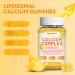 Liposomal Calcium Complex Gummies - 6 Active Types Calcium (Citrate Carbonate Gluconate etc) with Vitamin D3 K2 Magnesium & Zinc for Bone & Immune Support - 120 Gummies - Buy Online on GoSupps.com