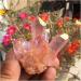 Natural Crystal Rough Beautiful Rose Flame Aura Quartz Crystal Cluster Specimen 60-70G - Buy Online on GoSupps.com
