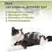 Buy Hipet Cat Surgical Suit - Recovery Vest for Belly Wounds & Skin Diseases | Anti-Licking Onesie | Replacement E-Collar & Cone for Cats (Small Camouflage) - Buy Online on GoSupps.com