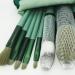 13-Piece Green Reusable Portable Cosmetic Makeup Brushes Set - Professional Quality - Buy Online on GoSupps.com