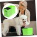 Minkissy 3-Pack Scissors Holder & Haircut Organizer | Slide-Resistant Tool Stand & Storage Box | Hairdressing Essential | 15.6x10.6cm | Gr n - Buy Online on GoSupps.com