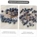 ABOOFAN 100pcs Simulation Blueberry Decoration Red Berry Branches Faux Blueberries Stems Artificial Christmas Pick Blue Pip Berry Stems Spray Holly Berry Stem Manual Foam Party Supplies Dark Blue 6.00X1.20X1.20CM - Buy Online on GoSupps.com