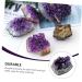 MUCKLILY Purple Ornament 2pcs Amethyst Cluster Chips Natural Crystal Decoration Natural Crystal Ornament Various Ornaments - Buy Online on GoSupps.com