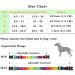 Shop Heele Adjustable Dog Collar - Patterned Comfort for Puppies & Dogs | Rainbow Design XS Size (21.6-28cm) - Buy Online on GoSupps.com