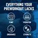 Purus Labs NOXygen Black Liquid Pump Serum Fast-Absorbing Nitric Oxide Booster for Extreme Muscle Pumps Blood Flow & Vascularity Stim-Free Liquid Pre Workout 32 Servings (Blue Raspberry) - Buy Online on GoSupps.com