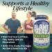 Plant Head Real Meal Organic Protein Powder - Vegan Vanilla, Low Carb, Gluten Free, 2.3 lb - Buy Online on GoSupps.com