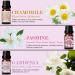 Salking Essential Oils Set | 100% Pure Aromatherapy Fragrance Oils Gift Set | 6 x 10 ml | Lavender Rose Cherry Blossom Jasmine Garden Chamomile | Ideal for Diffusers & Massage - Buy Online on GoSupps.com