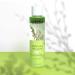 Freeman Beauty English Willow Toner - Pore Minimizer & Deep Cleansing (6.1 fl oz) - Buy Online on GoSupps.com