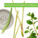 Basis Cleaner Clean Face Wash 6 fl oz (177 ml) with Aloe Vera - Pack of 1 - Buy Online on GoSupps.com